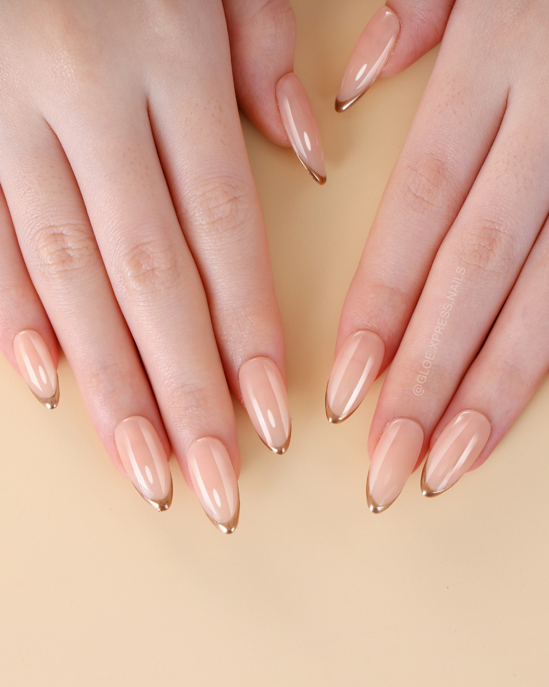 Nude Muse