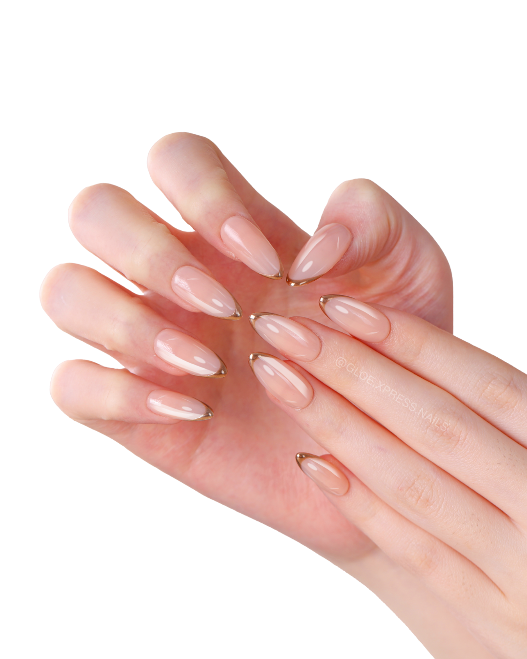 Nude Muse