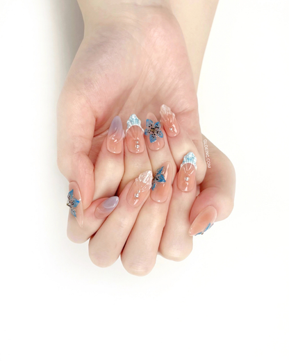Shellflower